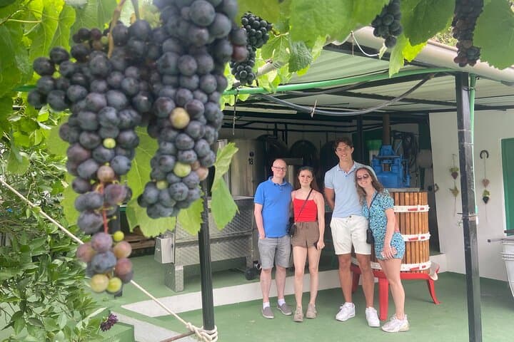 Pocket wineries