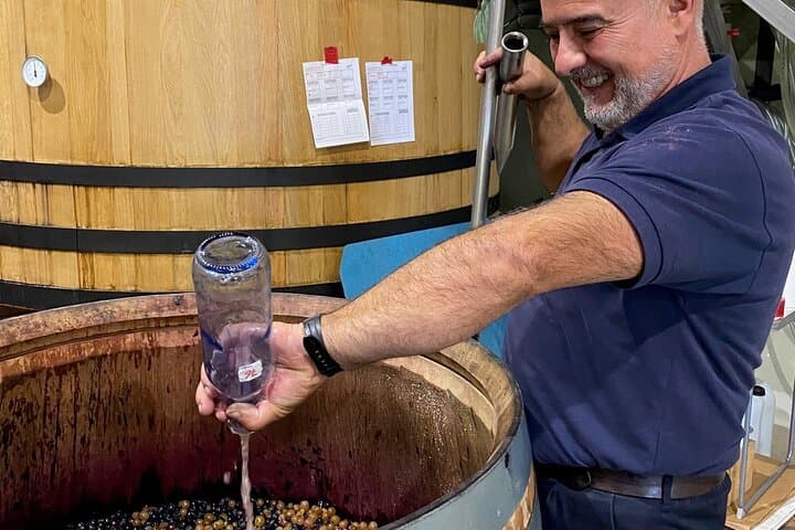 The Real Rioja Explore Tour - Private experience