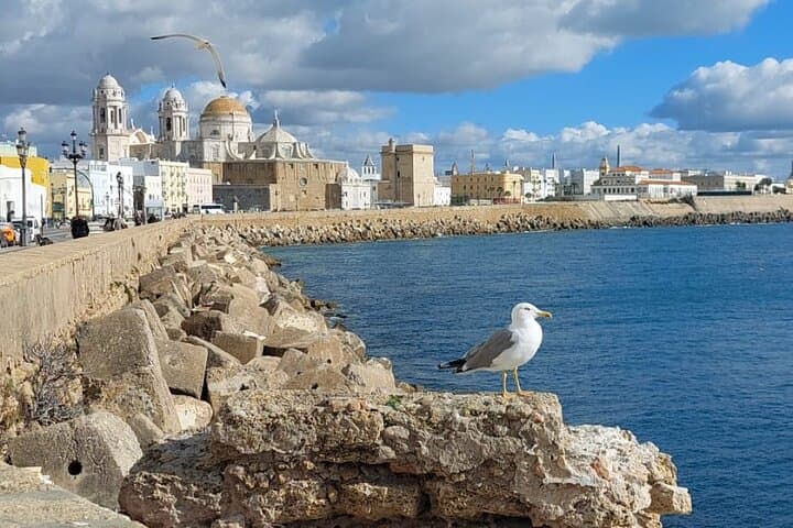 3 Hour Tapa and Cultural Experience Walking Tour