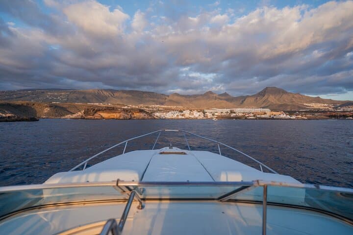 Prestigious cruiser private charter