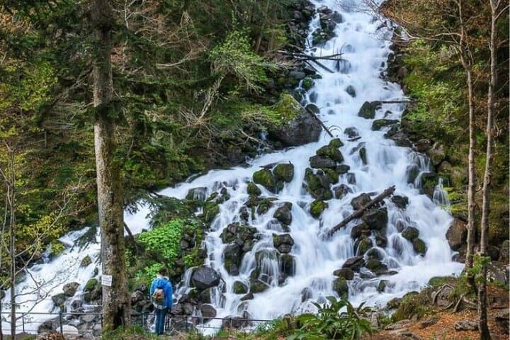 Guided E-Bike Excursion to the Artiga de Lin