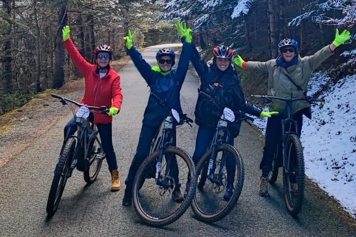Guided E-Bike Excursion to the Artiga de Lin