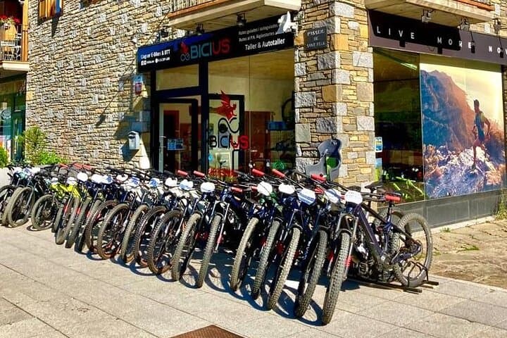 Guided E-Bike Excursion to the Artiga de Lin