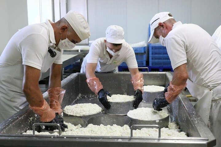 Guided Tour Montesdeoca Cheese Factory - Cheese and Wine Tasting