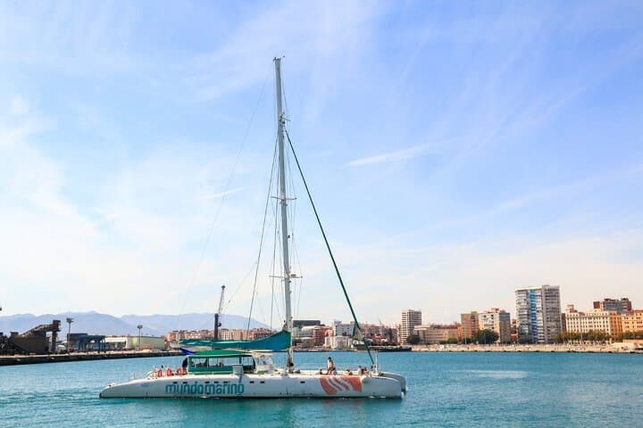 Sunset or night catamaran tour from Malaga