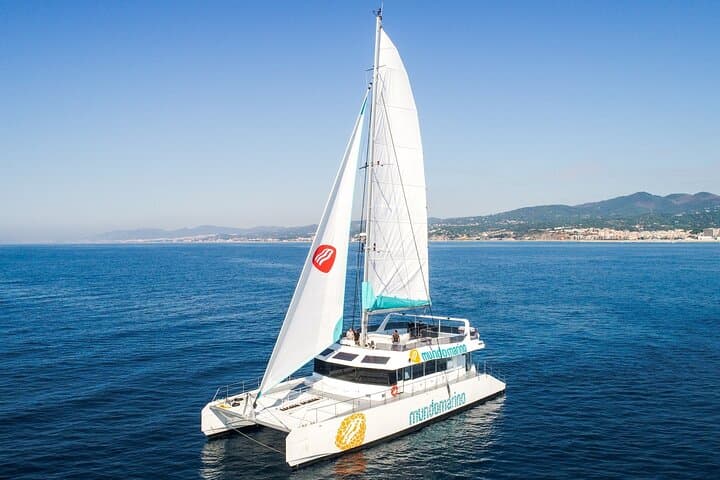 Sunset or night catamaran tour from Malaga