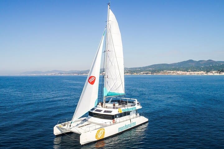 Bay of Malaga Catamaran Sailing
