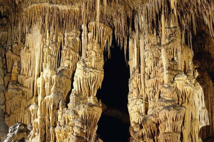 Half Day Tour Bus to the Caves of Drach