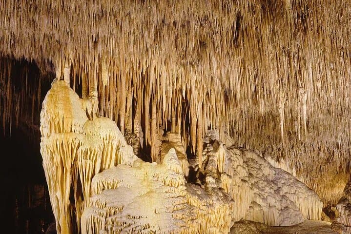 Half Day Tour Bus to the Caves of Drach