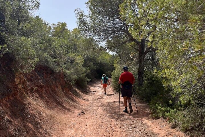 Hiking guide tours in Ibiza - Explore stunning views with us! IHL