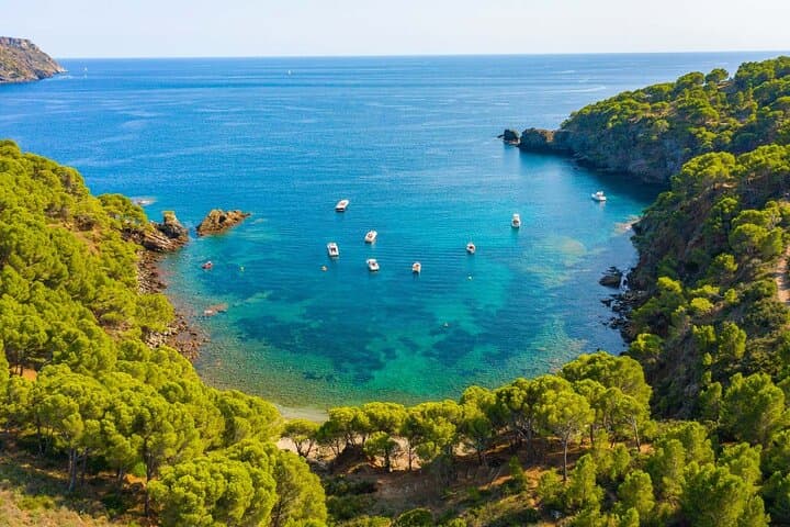 From Roses: Cala Murtra: A Submarine World (New Free Audio Guide)