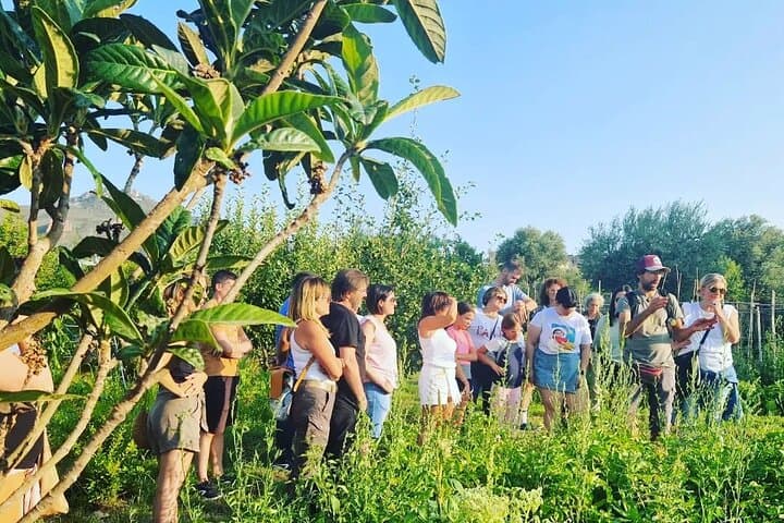 Private Visit to an Aromatic Plant Farm in La Rioja