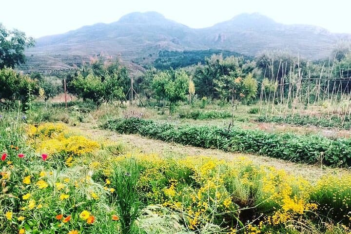 Private Visit to an Aromatic Plant Farm in La Rioja