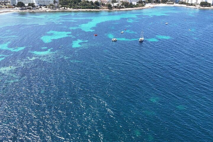 Private Boat Experience in Ibiza