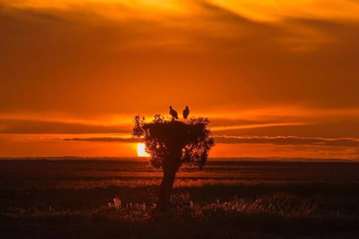 Guided Experience in Doñana in 5 Senses