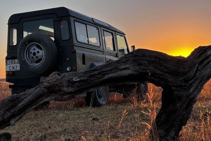 Guided Experience in Doñana in 5 Senses