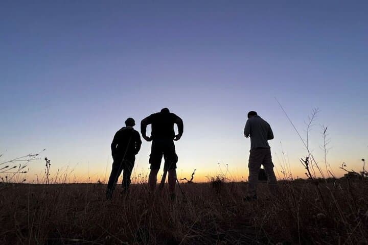 Guided Experience in Doñana in 5 Senses