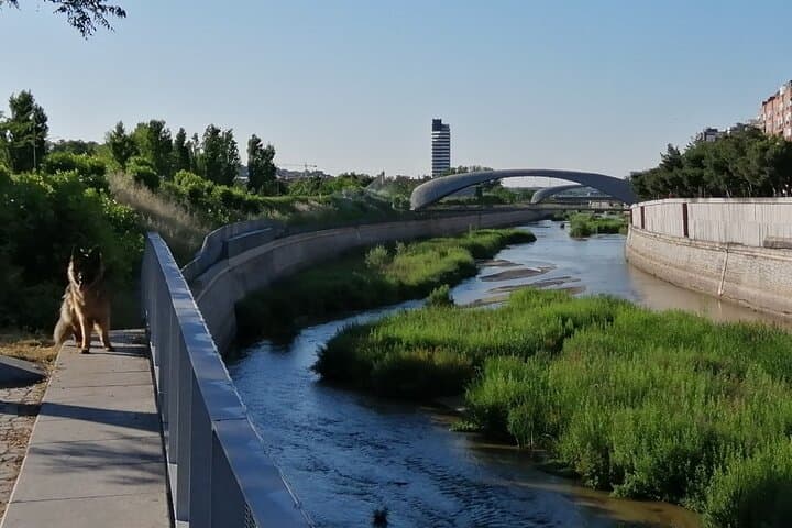 Madrid’s Golden Age: History along the Manzanares River