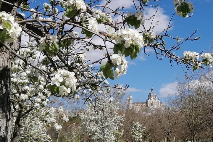 Madrid’s Golden Age: History along the Manzanares River