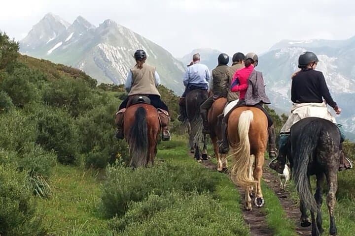 Horse Riding Madrid Natural Park Private trip