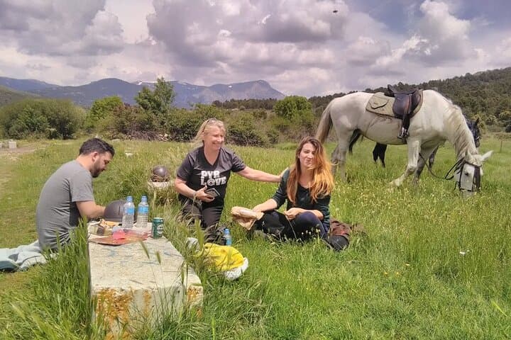 Horse Riding Madrid Natural Park Private trip