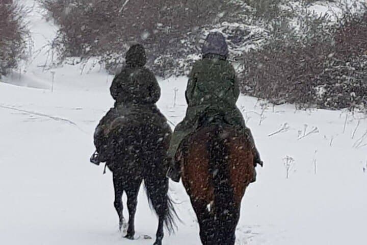 Horse Riding Madrid Natural Park Private trip