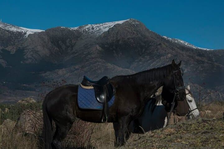 Horse Riding Madrid Natural Park Private trip