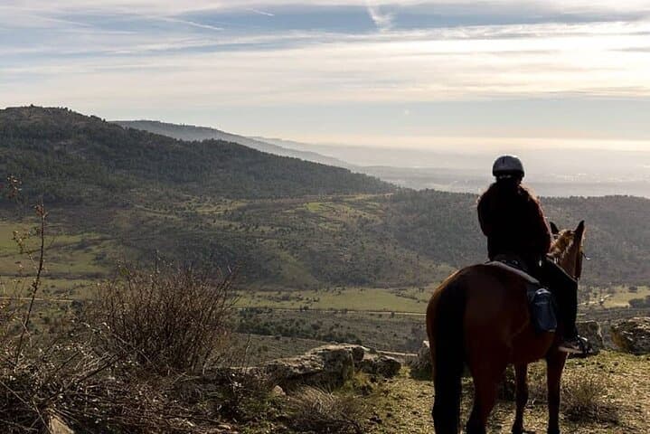 Horse Riding Madrid Natural Park Private trip