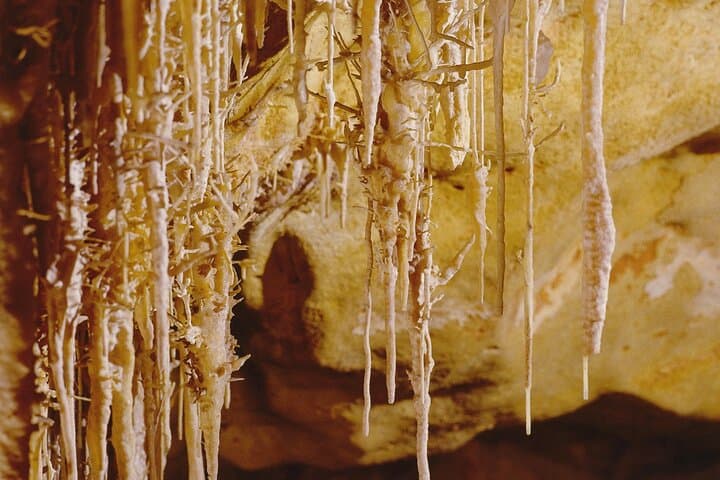 Caves Drach Tour & Return Transfer from Cala Dor-Calas Mallorca
