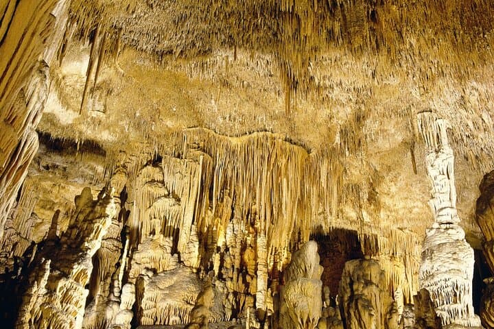 Caves Drach Tour & Return Transfer from Cala Dor-Calas Mallorca