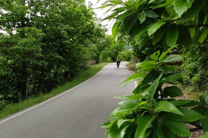 Guided Cycling - Blue Village Ronda - Moderate Level Difficulty