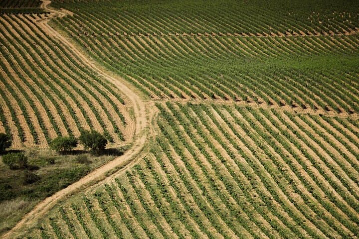 Premium Small Group Rioja Uncorked Tour from San Sebastian