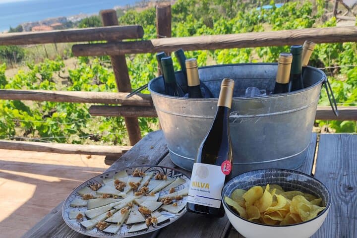 Wine and tapas tasting in the Peñoncillo vineyard