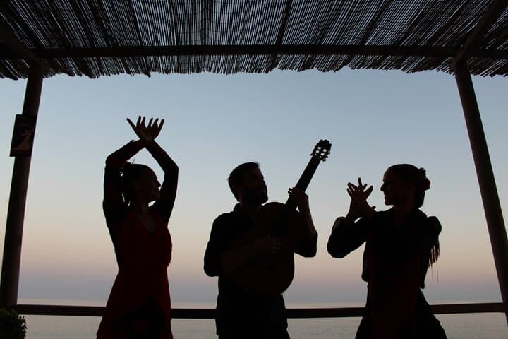 Flamenco and Outdoor Grill Evening (Guadalmina)