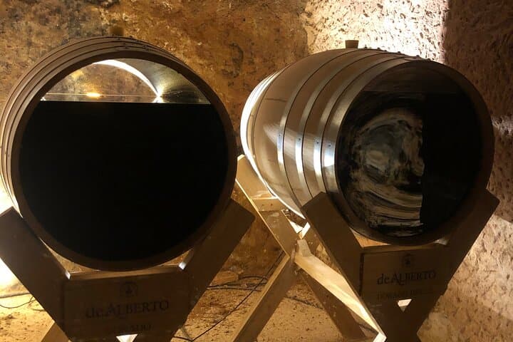 Rueda White Wine Tour from Madrid with Michelin-Star Lunch