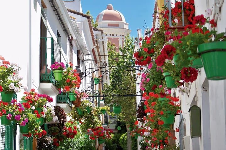 City Bike Guided Tour: Discover Estepona Best Kept Secrets