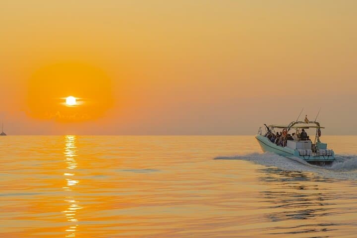 Exclusive Dolphin Watching in Mallorca from Port Alcudia