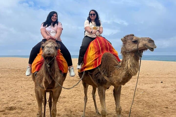 Private Tangier Day Tour from Malaga or Tarifa