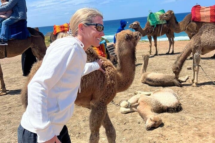 Private Tangier Day Tour from Malaga or Tarifa