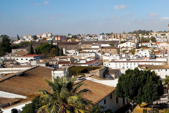 A Self-Guided Exploration of Jerez de la Frontera