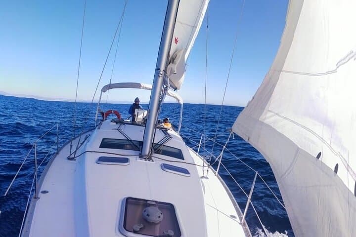 Whale & Dolphin Observation on Electric Sailing Boat in Denia
