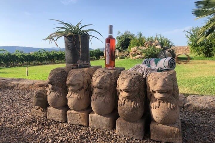 Guided tour of Butxet winery