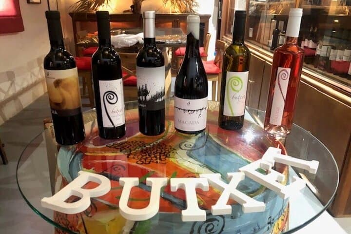 Guided tour of Butxet winery