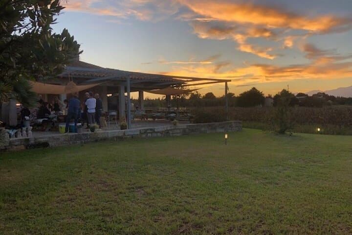 Guided tour of Butxet winery