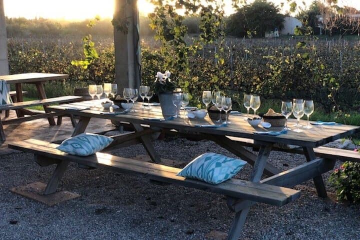 Guided tour of Butxet winery
