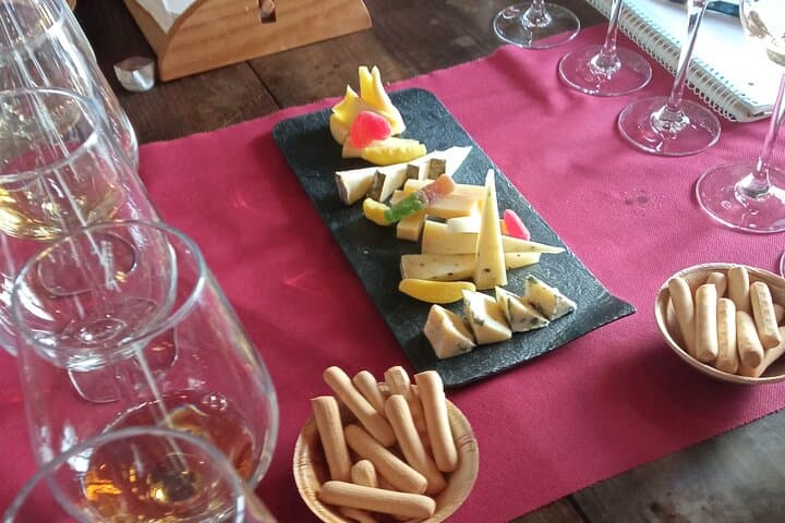 Visit winery and wine tasting