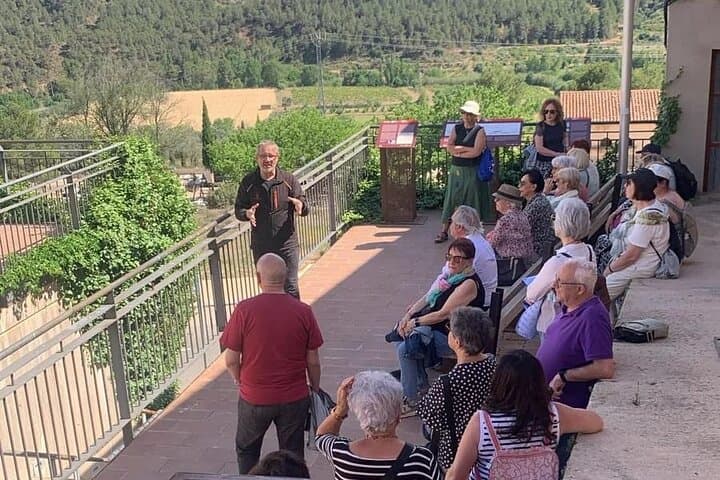 Visit winery and wine tasting