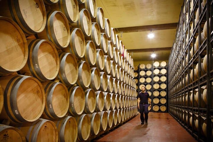Private tour to La Rioja : Visit 2 premium wineries with lunch