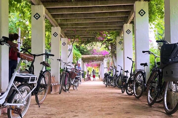 Ride Seville by E‐Bike – Small Group Local Experience