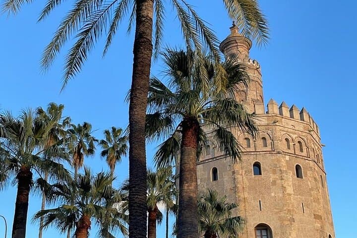 Andalusia in 5 days from Seville, tours and private transfer